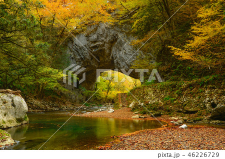 雄橋 雄橋 46226729