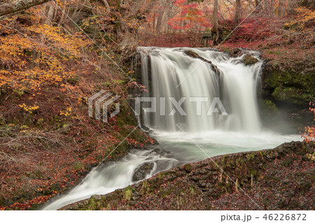 鐘山の滝 秋 紅葉 滝 鐘山の滝 秋 紅葉 滝 46226872