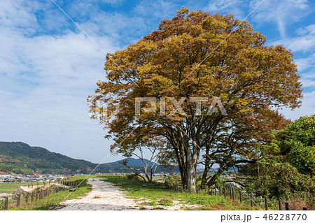 山城　月山富田城 46228770