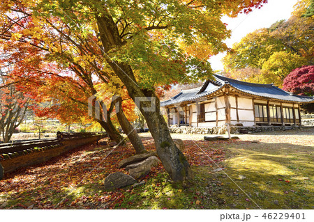 紅葉 麻谷寺 風景 46229401