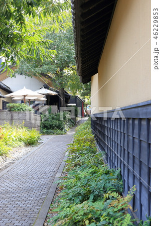 信州・「栗と北斎と花の町小布施」の街並  土壁の美しい栗の小径 46229853