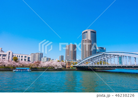 大阪アメニティーパークと銀橋 46230226