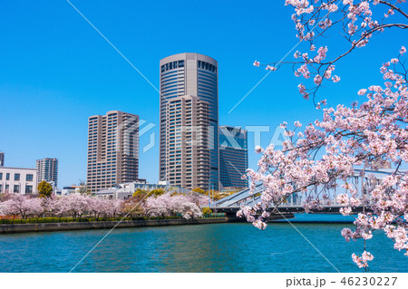 大阪アメニティーパークと桜 46230227