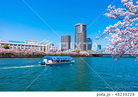 大阪アメニティーパークと桜 46230228