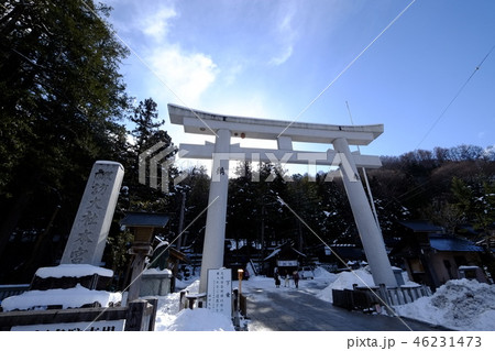 諏訪大社 上社鳥居（北参道） 46231473