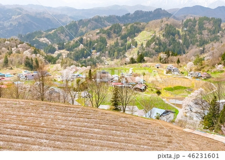 春の信州・小川村 春の信州・小川村 46231601