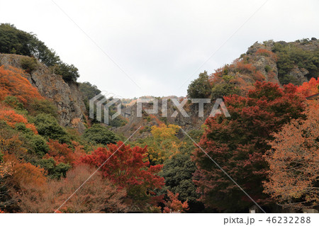 小豆島、寒霞渓の紅葉(紅雲亭から) 小豆島、寒霞渓の紅葉(紅雲亭から) 46232288