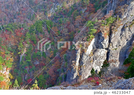 大台ケ原山大蛇嵓の晩秋の情景 46233047