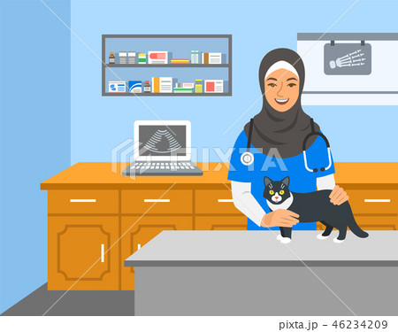 Veterinarian doctor holds cat on examination table 46234209