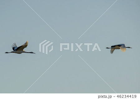 風景 屋外 室外 46234419