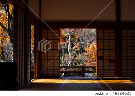 宝筐院の紅葉 宝筐院の紅葉 46234639