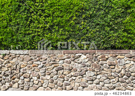 石垣と生け垣 46234863