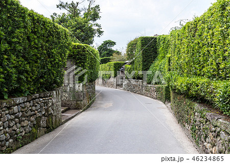 生け垣のある知覧武家屋敷群の通り 46234865