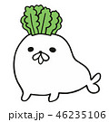 大根アザラシ 46235106