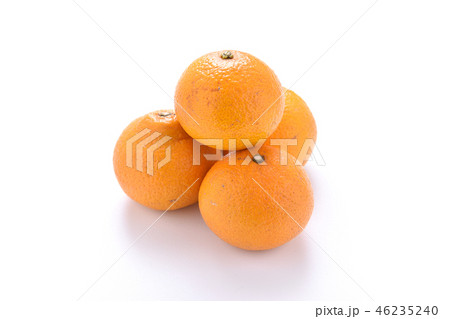 スイートスプリング① スイートスプリング① 46235240