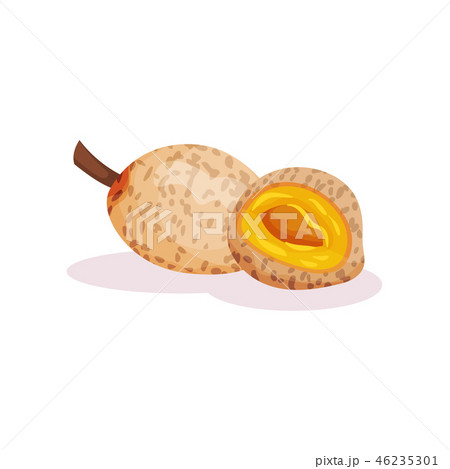 Detailed flat vector design of tropical apricots. Fresh and sweet exotic fruit. Natural product 46235301