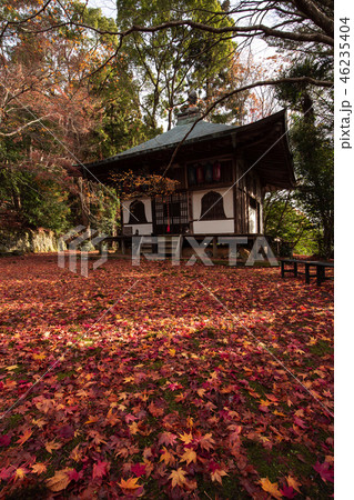 金蔵寺の紅葉 金蔵寺の紅葉 46235404