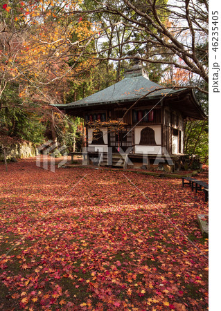金蔵寺の紅葉 金蔵寺の紅葉 46235405