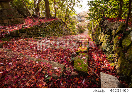 金蔵寺の紅葉の写真素材