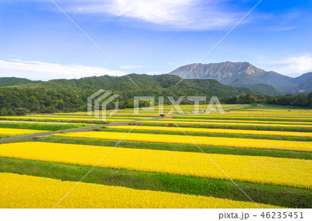 百名山、伯耆大山を鍵掛峠からみる。(鳥取県)※作品コメント欄に撮影位置あり 46235451