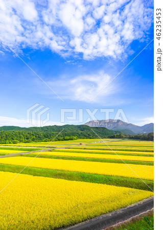 百名山、伯耆大山を鍵掛峠からみる。(鳥取県)※作品コメント欄に撮影位置あり 46235453