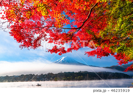 《山梨県》日本の秋・富士山と紅葉 《山梨県》日本の秋・富士山と紅葉 46235919