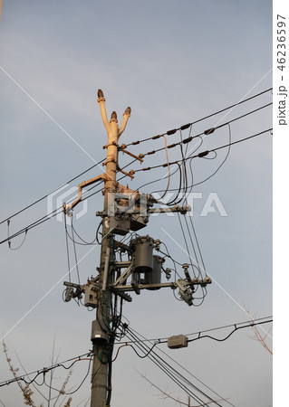 電柱 電柱 46236597