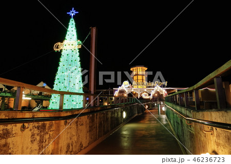 ドルフィンポート イルミネーション ドルフィンポート イルミネーション 46236723