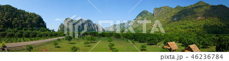 View of mango fields and mountains, Switzerland co 46236784