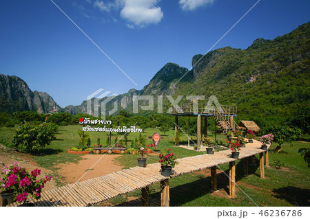 View of mango fields and mountains, Switzerland co 46236786