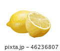 レモン02 46236807