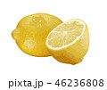 レモン03 46236808