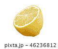 レモン05 46236812