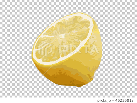 Lemon 05 46236812