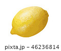 レモン06 46236814
