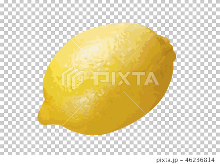 Lemon 06 46236814