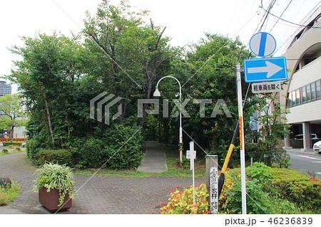 雀森跡(自然観察園)/静岡県浜松市中区砂山町 46236839