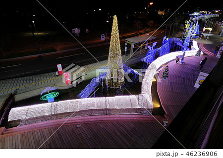 ドルフィンポート　イルミネーション 46236906