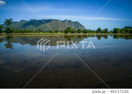Beautiful Rice fBeautields of green with mountain Beautiful Rice fBeautields of green with mountain 46237100