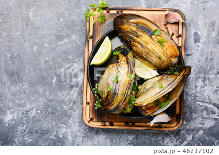 Delicious seafood mussels Delicious seafood mussels 46237102