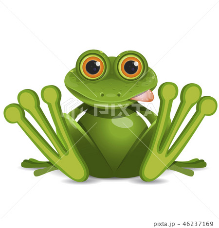 Stock Illustration Fat Frog 46237169