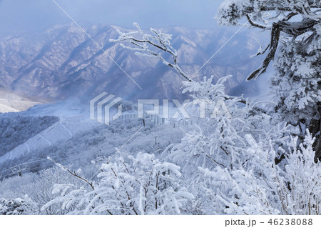 雲海 雪花 徳裕山 46238088