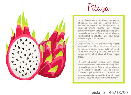 Pitaya Pitahaya Exotic Juicy Fruit Vector Poster 46238790