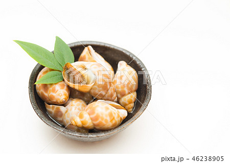 バイガイ 46238905