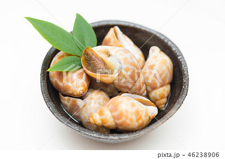 バイガイ 46238906