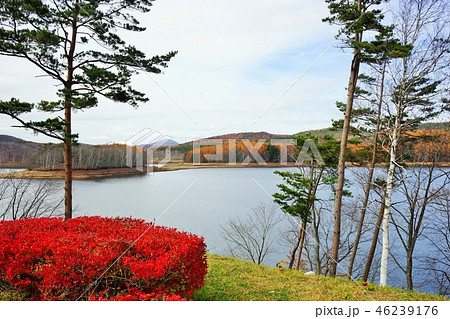 岩洞湖から見える雪の岩手山 岩洞湖から見える雪の岩手山 46239176