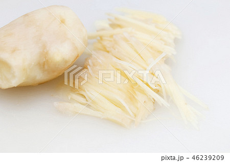 刻んだ生姜 刻んだ生姜 46239209