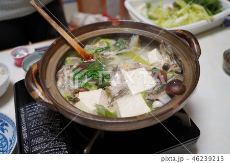 家庭料理 しょっつる鍋 家庭料理 しょっつる鍋 46239213