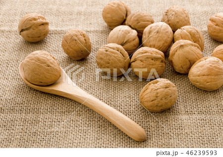 くるみ 46239593