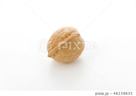 くるみ くるみ 46239635